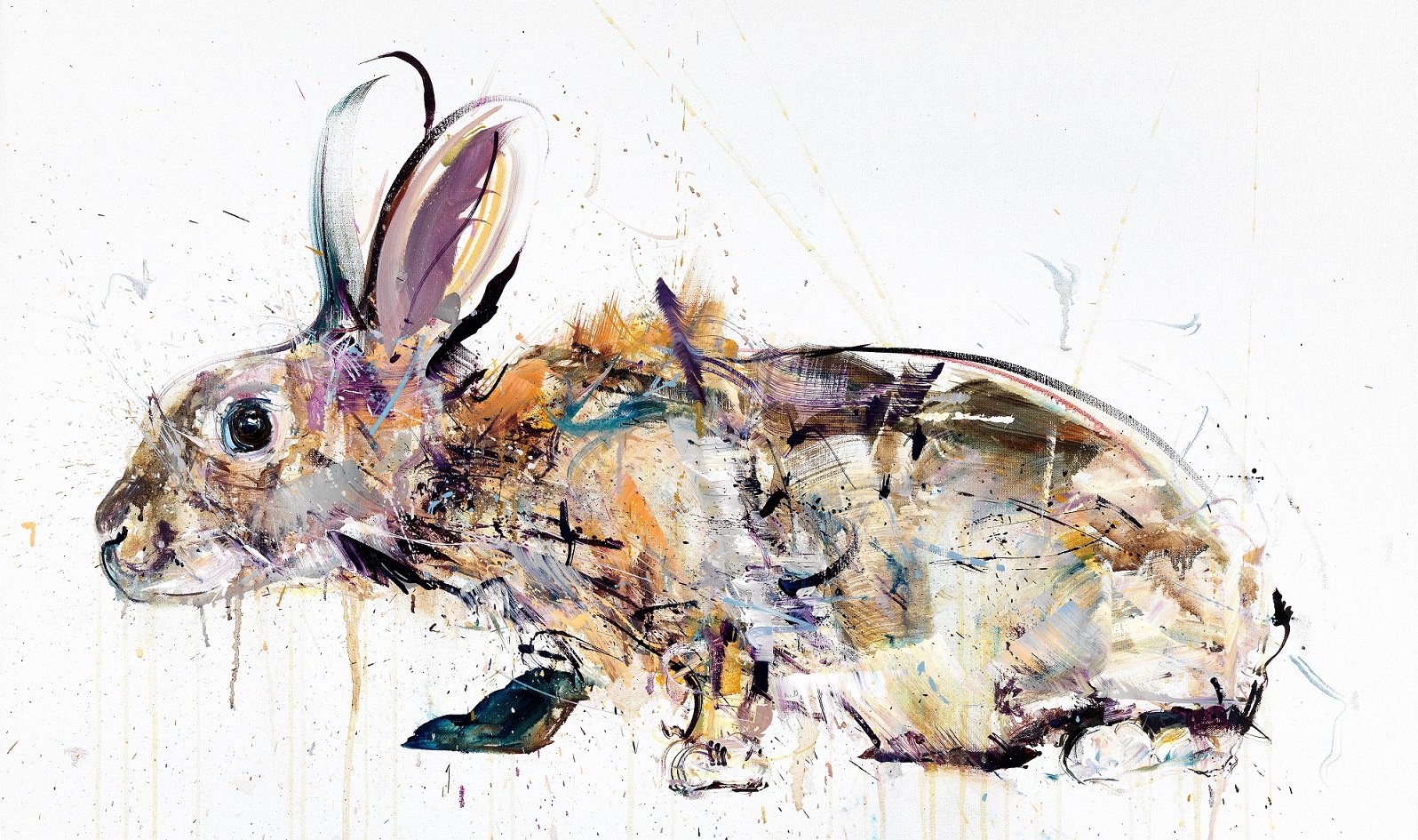 dave white rabbit